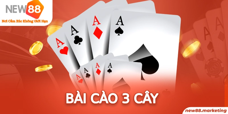 pg88 slot long bảo trong baccarat là gì