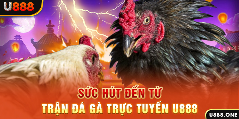 pg88 slot đá gà trực tiếp c1