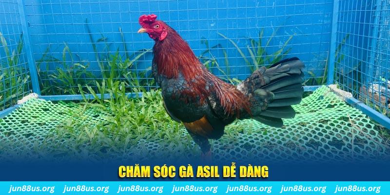 pg88 slot game bài là gì