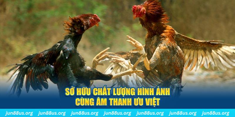 pg88 slot PP Điện Tử