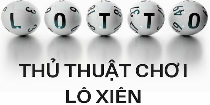 pg88 slot trực tiếp đá gà thomo