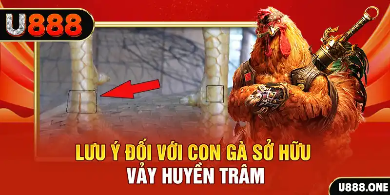 pg88 slot kết quả xổ số miền nam hôm nay