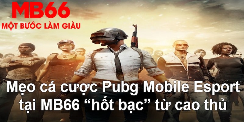 pg88 slot VA Bắn cá