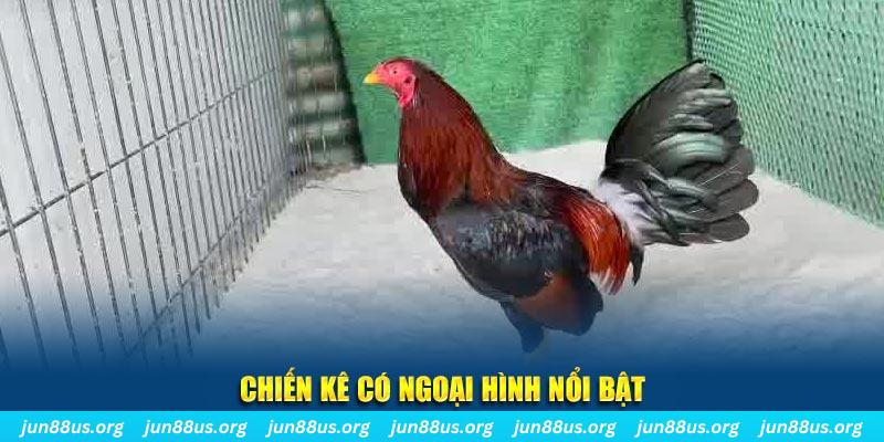 pg88 slot game nổ hũ là gì